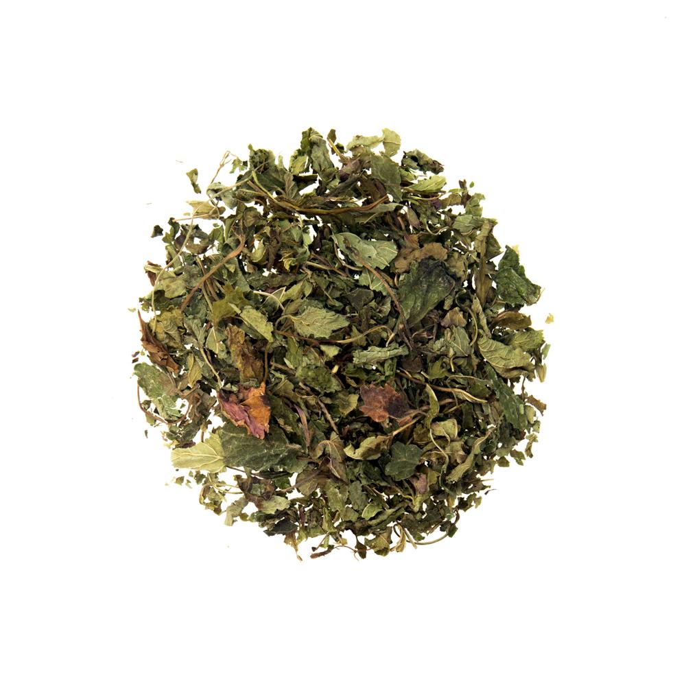 Lemon Balm (Melissa)