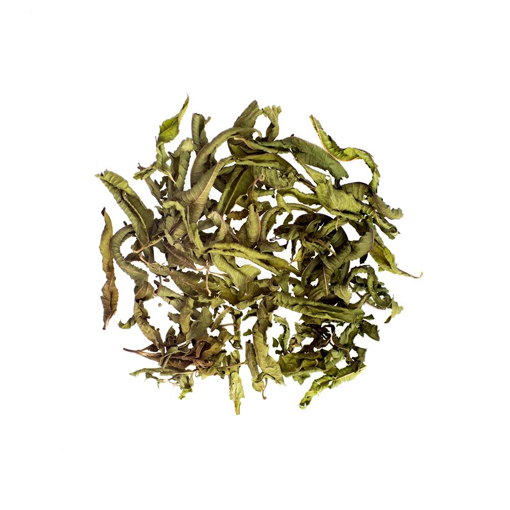 Lemon Verbena
